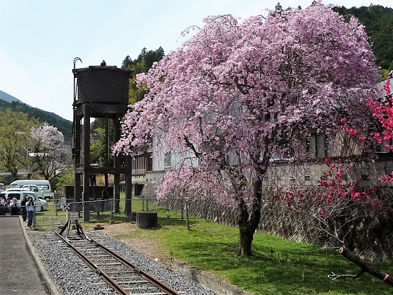 伊勢奥津駅の給水塔と桜